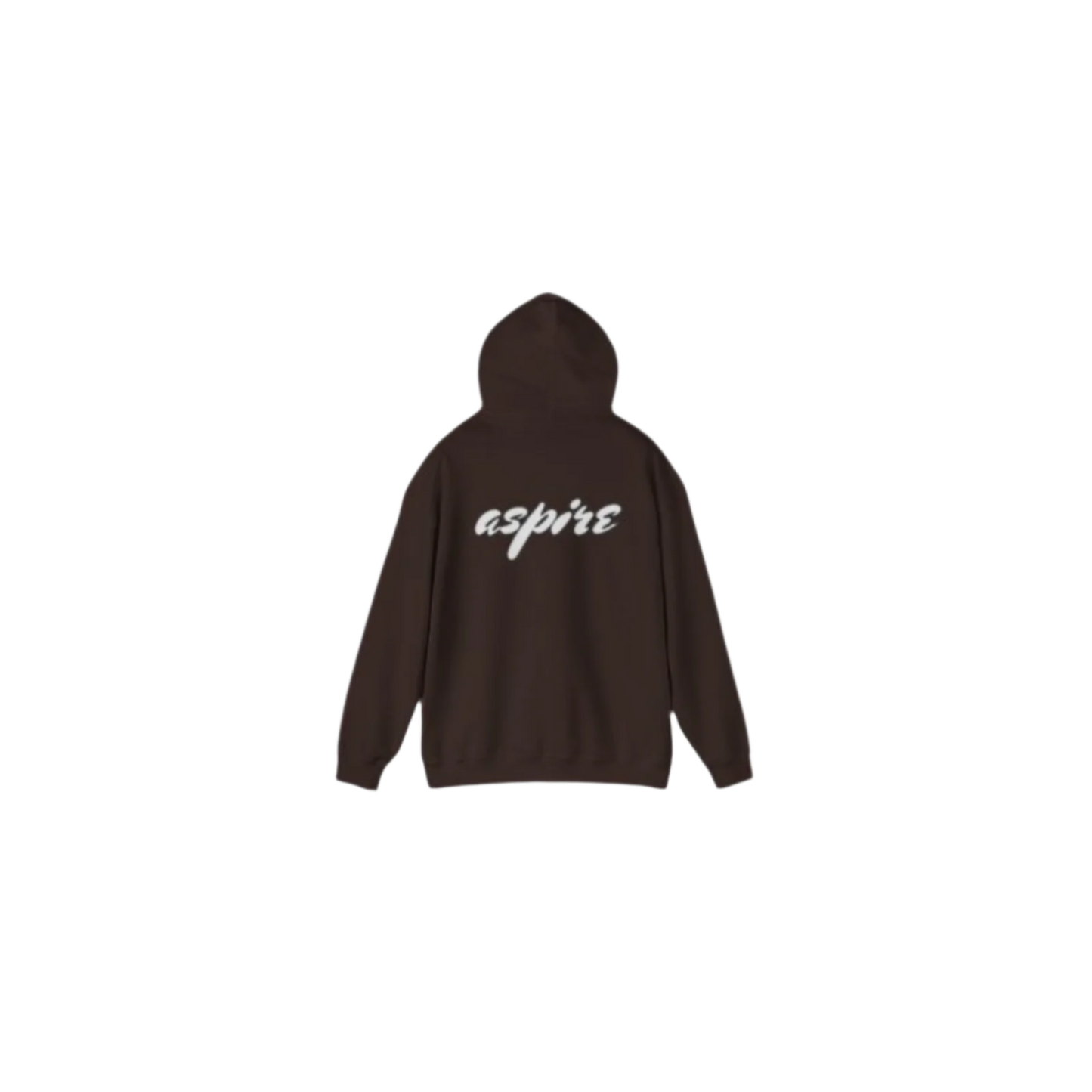 Aspire Hoodie Brown