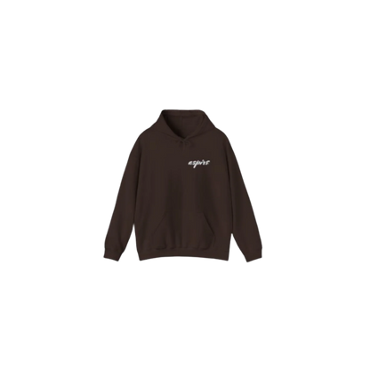 Aspire Hoodie Brown