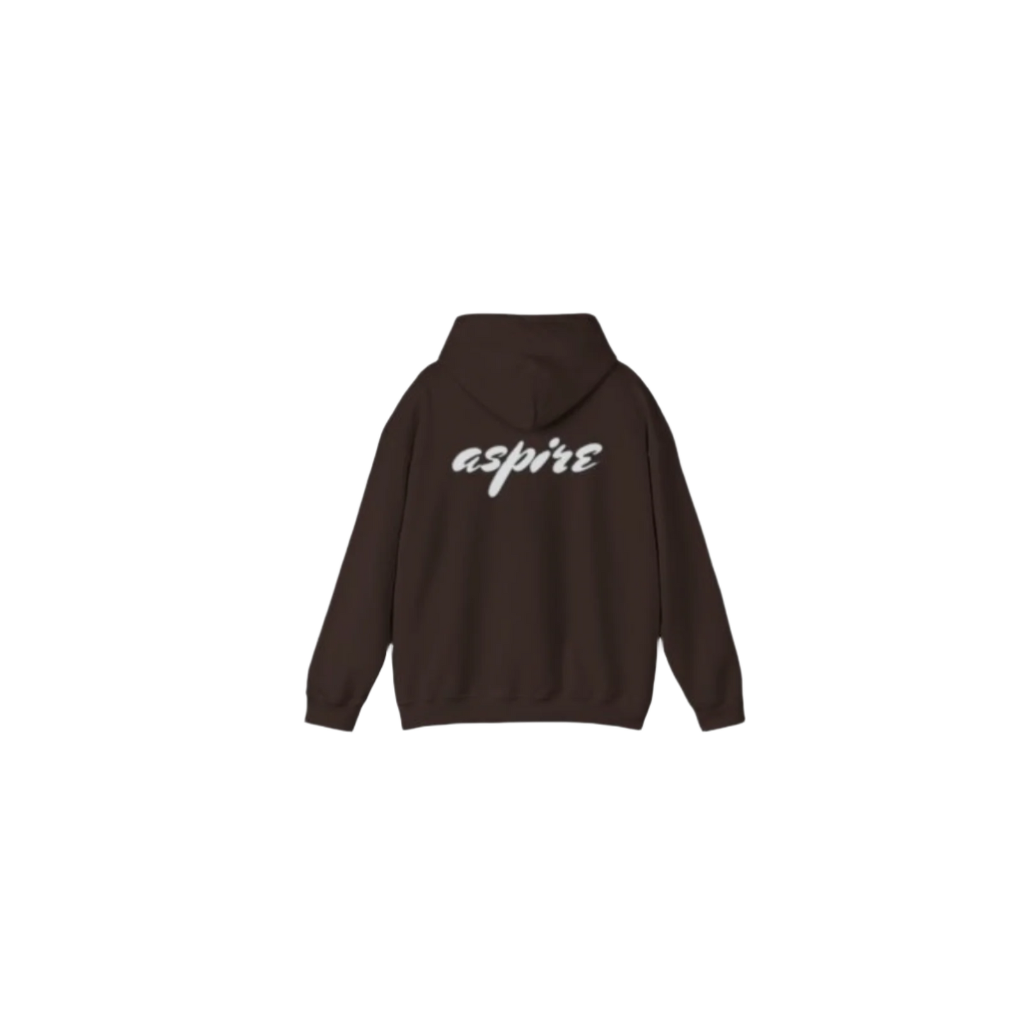 Aspire Hoodie Brown